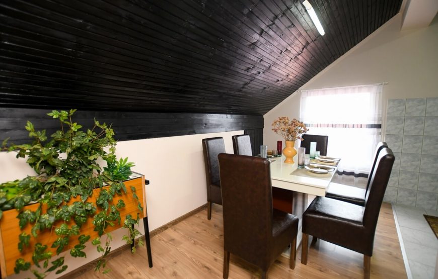 Apartman Pejović za 5 osoba