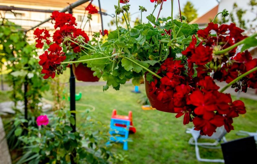 Kuća za odmor Matić- iznajmljivanje cele kuće