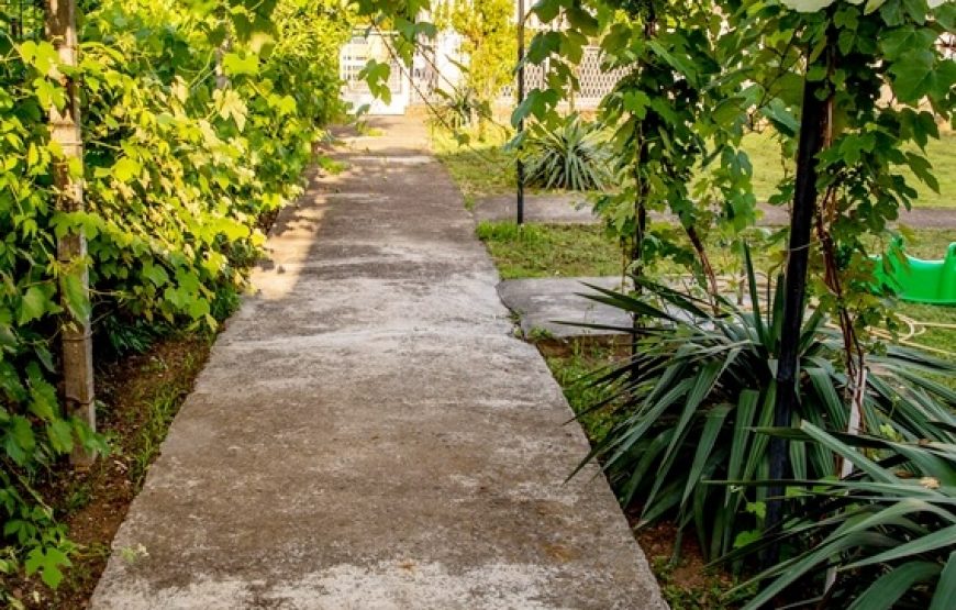 Kuća za odmor Matić- iznajmljivanje cele kuće