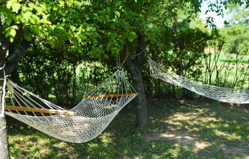 Seoska kuća Stojanović