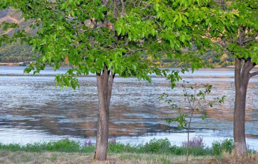 Idila za 3 i  4 osobe